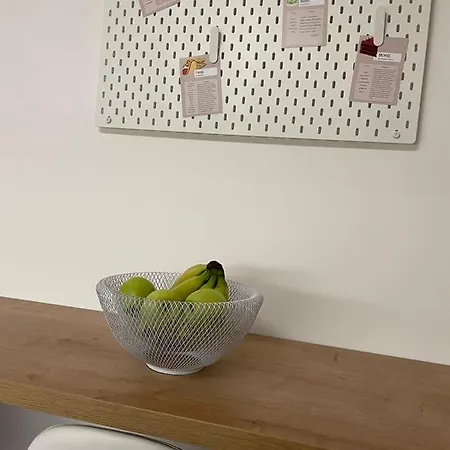 Stay Inn Zlatibor 公寓