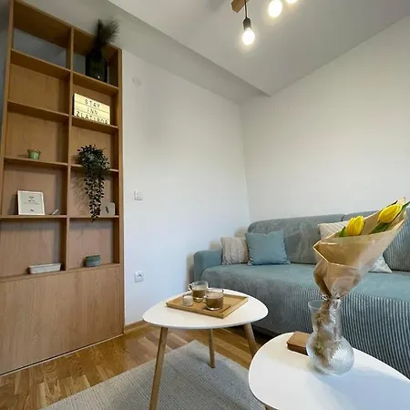 公寓 Stay Inn Zlatibor *