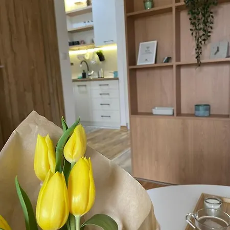 Stay Inn Zlatibor * Zlatibor