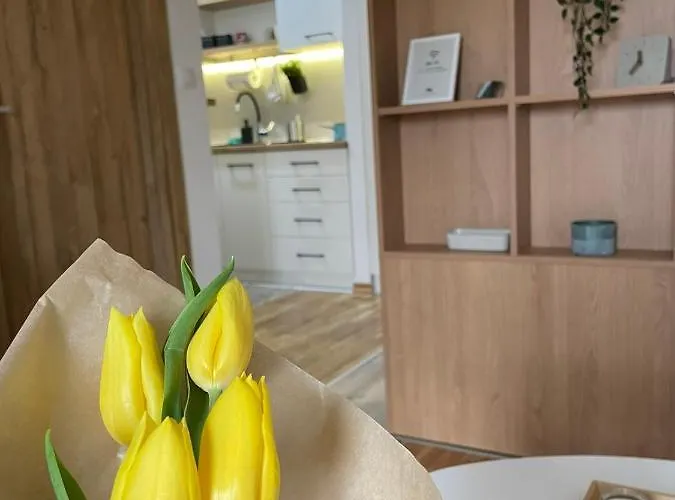 Stay Inn Zlatibor * 즐라티보